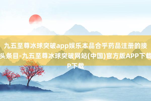 九五至尊冰球突破app娱乐本品合乎药品注册的接头条目-九五至尊冰球突破网站(中国)官方版APP下载