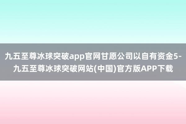 九五至尊冰球突破app官网甘愿公司以自有资金5-九五至尊冰球突破网站(中国)官方版APP下载
